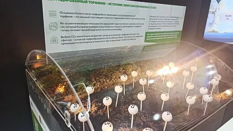 Макет карбонового полигона «Росянка» представлен на&nbsp;Международной выставке «Евразия – наш дом» в&nbsp;Сочи