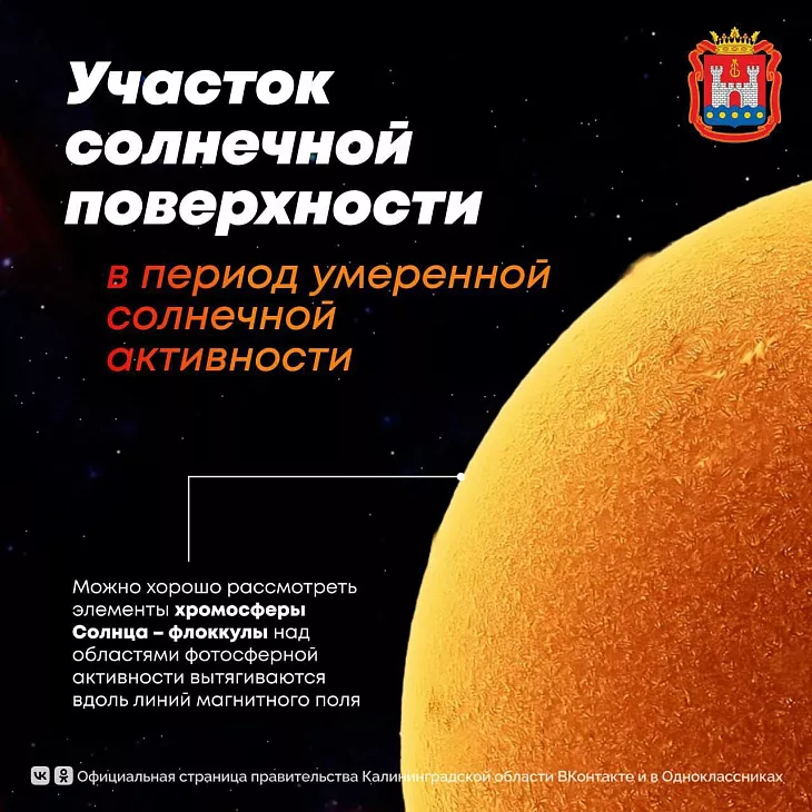 ﻿Туманность Андромеды, полярное сияние и кометы: делимся лучшими астрофотографиями БФУ им. И. Канта  |  1