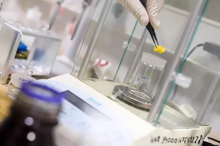 Ученые БФУ им.&nbsp;И.&nbsp;Канта разрабатывают спектральный атлас окаменелых смол мира  |  1