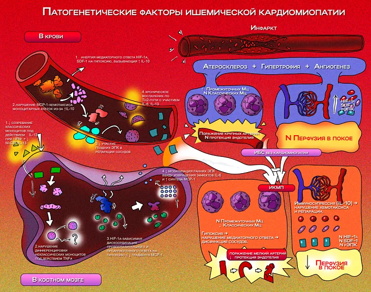 Вышел первый выпуск научного журнала БФУ им. И. Канта по биомедицине  |  5