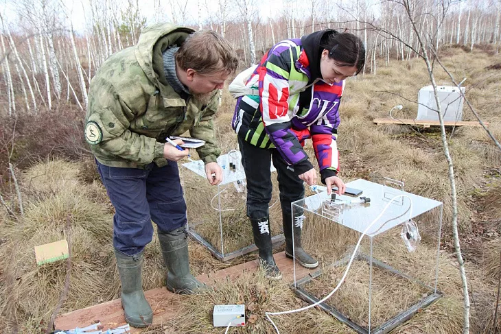 На карбоновом полигоне «Росянка» провели измерения климатически активных газов |  2