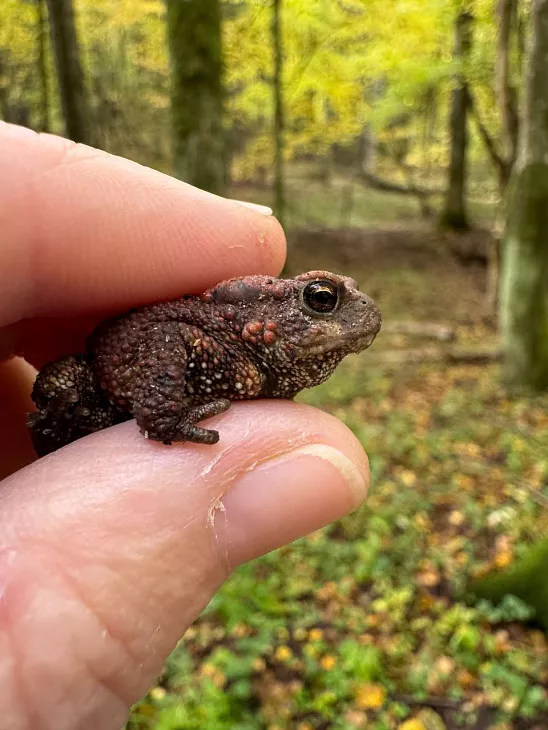 Из аудитории — в Нацпарк Виштынецкий |  4
