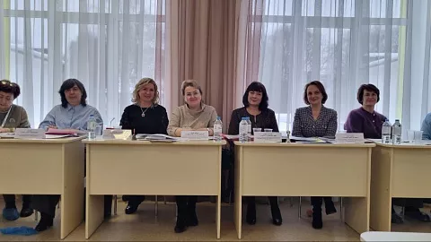 Инновации в&nbsp;дошкольном образовании: эксперты БФУ оценили методические разработки воспитателей Калининграда