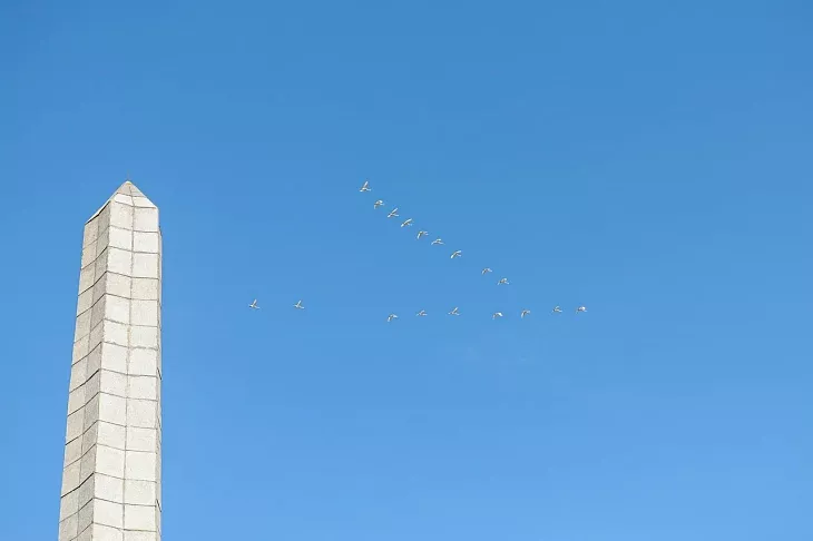 Сотрудники и&nbsp;студенты БФУ им.&nbsp;И.&nbsp;Канта почтили память воинов-участников штурма Кенигсберга |  8