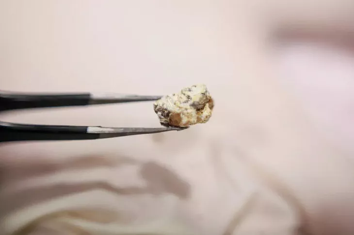 Ученые БФУ им.&nbsp;И.&nbsp;Канта разрабатывают спектральный атлас окаменелых смол мира  |  2