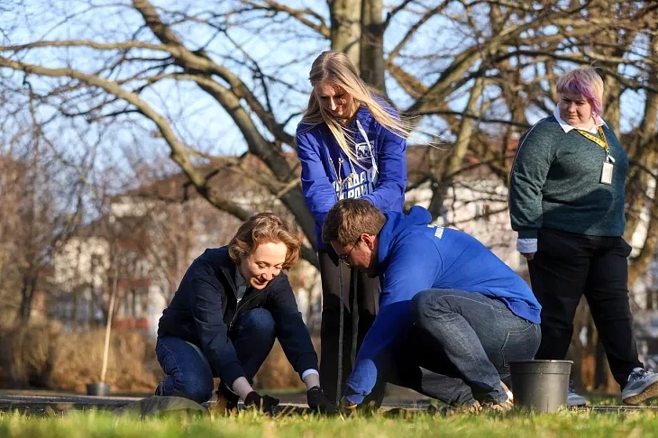 Аллея сирени к&nbsp;80-летию Калининградской области у&nbsp;корпуса БФУ им.&nbsp;И.&nbsp;Канта |  1