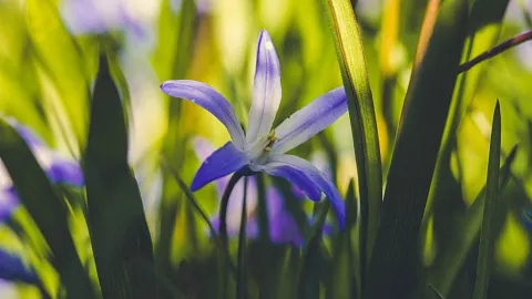 Географ БФУ им.&nbsp;И.&nbsp;Канта рассказала, каким будет май 2020 года