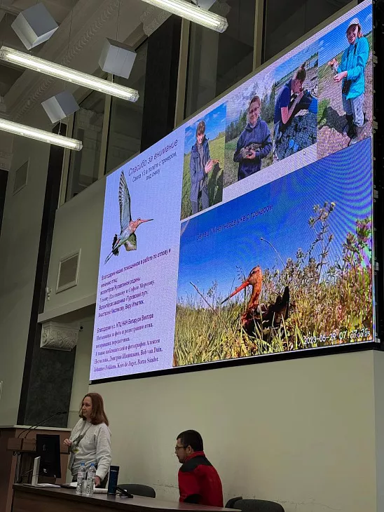 От Балтики до&nbsp;Берингии: в&nbsp;БФУ им.&nbsp;И.&nbsp;Канта обсудили спасение редких куликов |  4