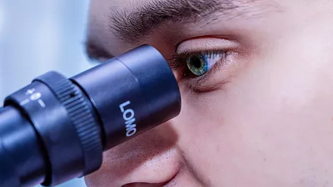 РНФ поддержал грантом четыре научные команды БФУ им. И. Канта  