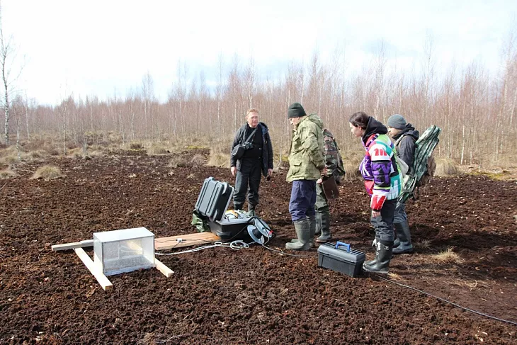 На карбоновом полигоне «Росянка» провели измерения климатически активных газов |  1