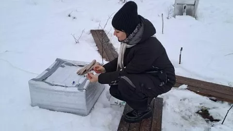 Аспирант БашГАУ проходит стажировку на Карбоновом полигоне БФУ 