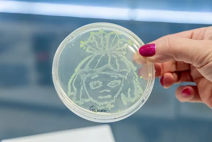 На Международной выставке-форуме «Россия» Открылась обновленная экспозиция «Десятилетие науки и&nbsp;технологий»   |  10