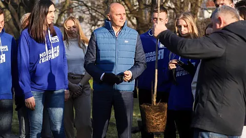 Аллея сирени к&nbsp;80-летию Калининградской области у&nbsp;корпуса БФУ им.&nbsp;И.&nbsp;Канта