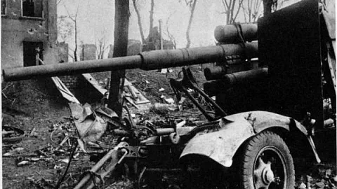 Бои за&nbsp;зоопарк: 8 апреля