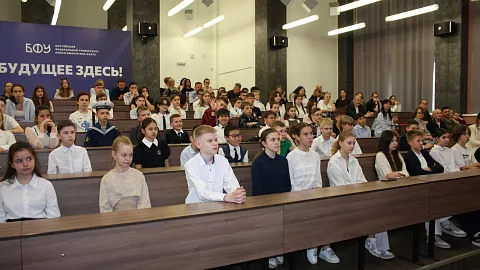 В БФУ им. И. Канта прошла десятая Олимпиада по логике имени В. Н. Брюшинкина