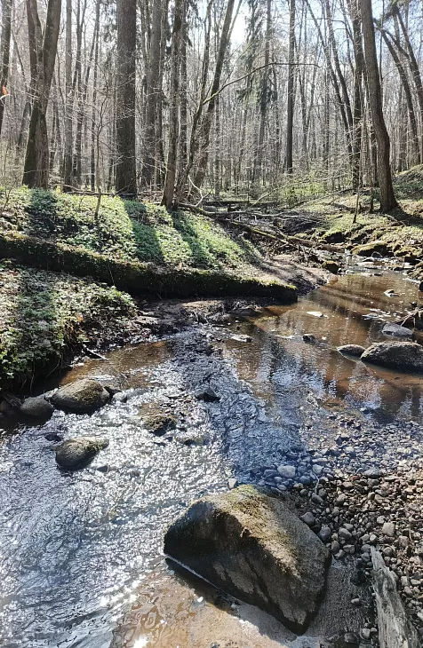 Магистранты-биологи обнаружили краснокнижного красного коршуна и&nbsp;редкие лишайники в&nbsp;ущелье Серебряного ручья |  2