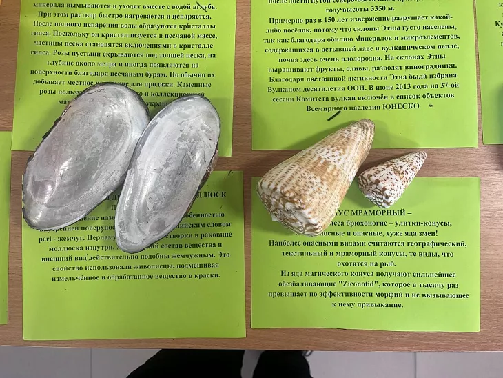 В БФУ начала свою работу Географическая школа |  4