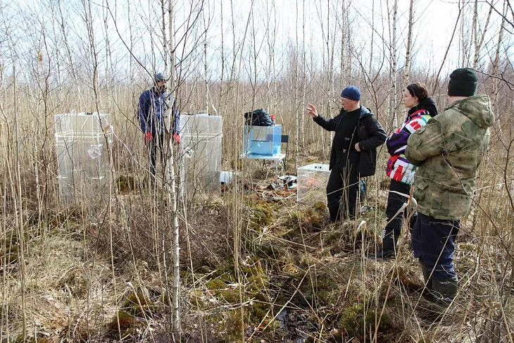 На карбоновом полигоне «Росянка» провели измерения климатически активных газов |  4
