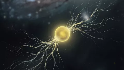 Лонгрид ко&nbsp;Дню науки: «Космология дана нам для&nbsp;того, чтобы фундаментально изменить мировоззрение»