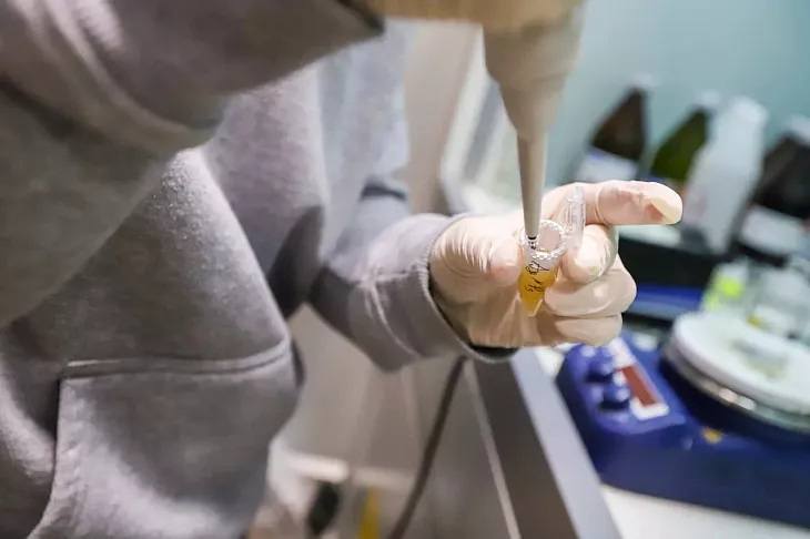 Ученые БФУ им.&nbsp;И.&nbsp;Канта разрабатывают спектральный атлас окаменелых смол мира  |  3