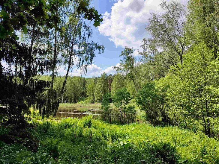 Студенты БФУ покорили самую высокую вершину Калининградской области |  8