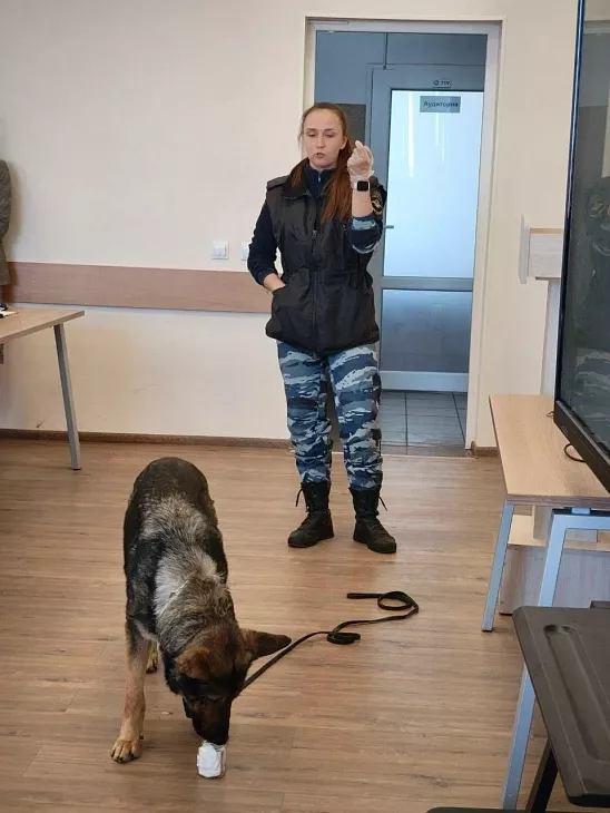 Открытый диалог: в&nbsp;БФУ им.&nbsp;И.&nbsp;Канта состоялся разговор о&nbsp;запрещенных веществах и&nbsp;судьбах поколений |  5