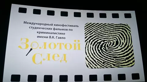 Команда Высшей школы права победила в международном кинофестивале 