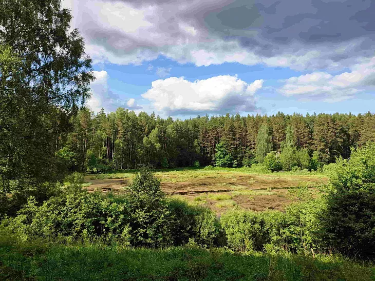 Студенты БФУ покорили самую высокую вершину Калининградской области |  6