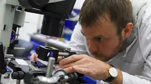 Ученые БФУ им. И. Канта представили прототип автономного нейроморфного  устройства