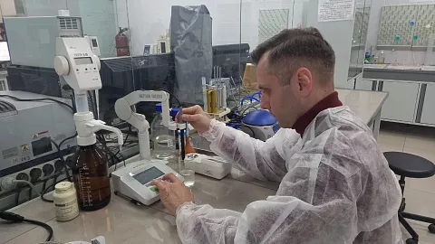 Сахара и органические кислоты уберегли амарант от отравления цинком